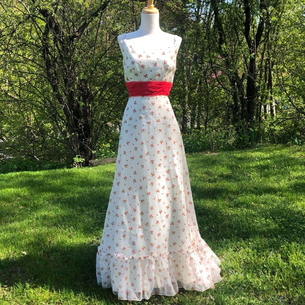 Vintage 1970’s Spring Gown